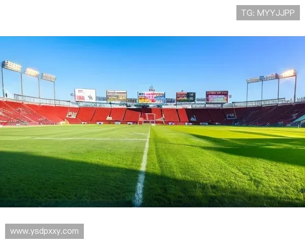 杨伟专访：从绿茵场到人生舞台的足球旅程回顾与展望